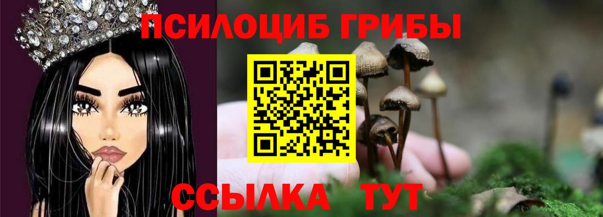 Псилоцибиновые грибы MAGIC MUSHROOMS  Вход с VPN  Соликамск 